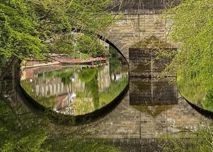 Honeysuckle * Knaresborough